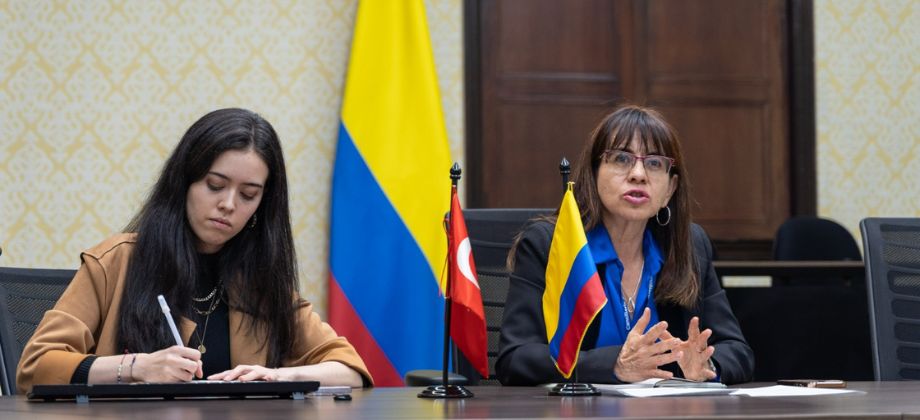 Directores de las academias diplomáticas de Colombia y Turquía se reunieron para intercambiar buenas prácticas y explorar opciones de cooperación académica
