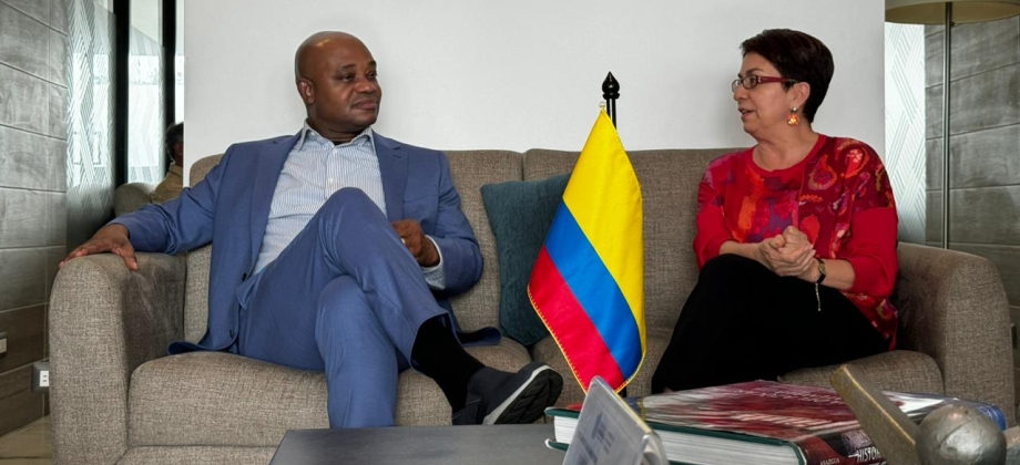 Colombia participa en Reunión Ministerial sobre la «Declaración de Los Ángeles sobre Migración y Protección»
