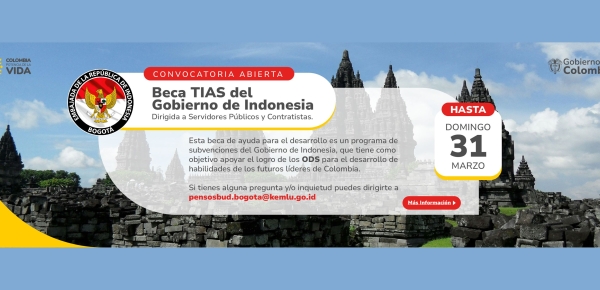 Aplique a la Beca Indonesia AID (TIAS) 2024-2025