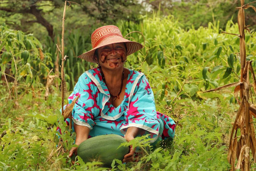 La Cancillería fortalece el sistema productivo alimentario y de agua en comunidades indígenas Wayuu de La Guajira
