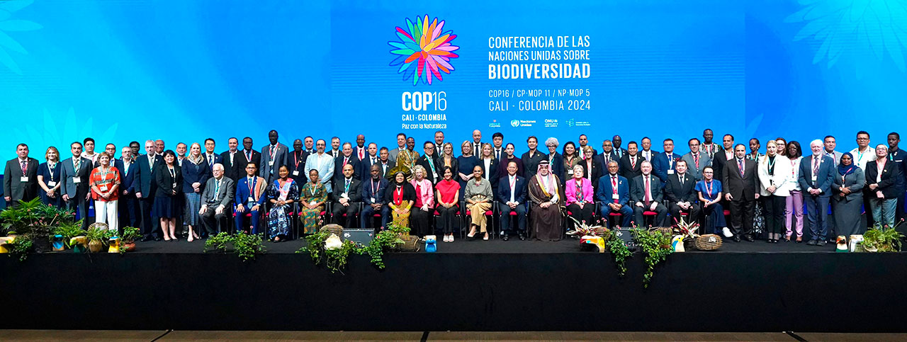 Balance COP16 / Lo más destacado de la cumbre que mostró por qué Colombia es potencia mundial de la vida