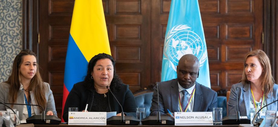 Colombia recibió a dos integrantes del Panel técnico de Expertos sobre Haití