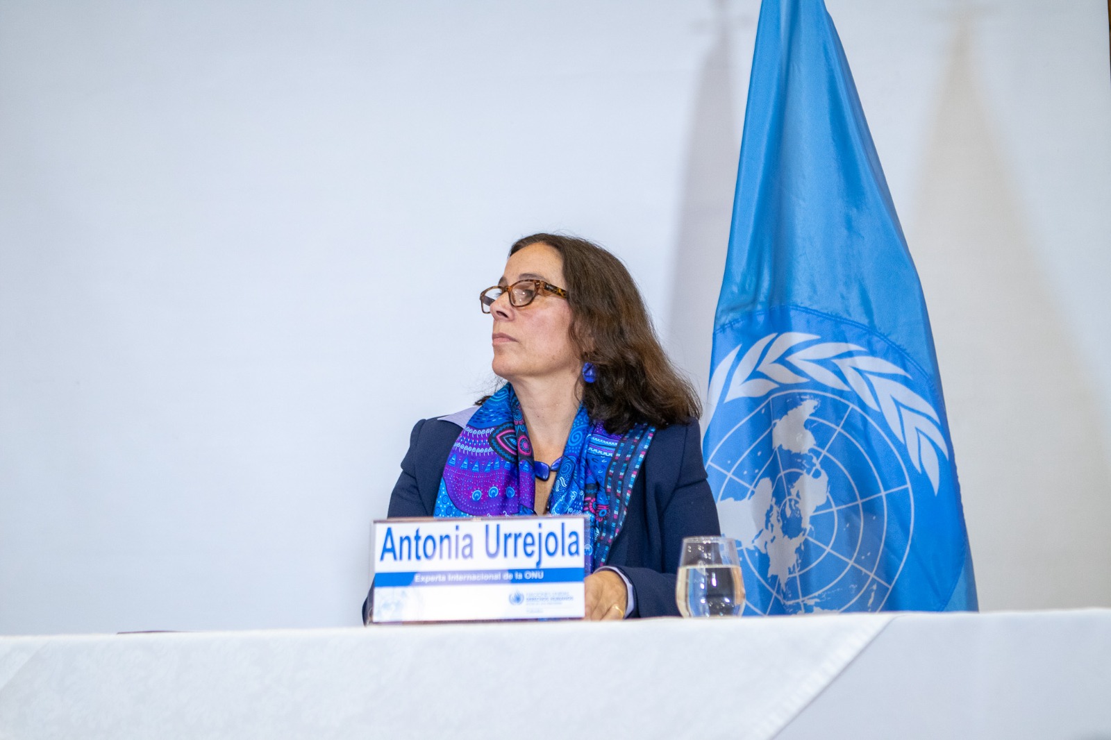 Antonia Urrejola, experta internacional en Derechos Humanos, entregó informe preliminar sobre los obstáculos para la implementación del acuerdo de paz de 2016