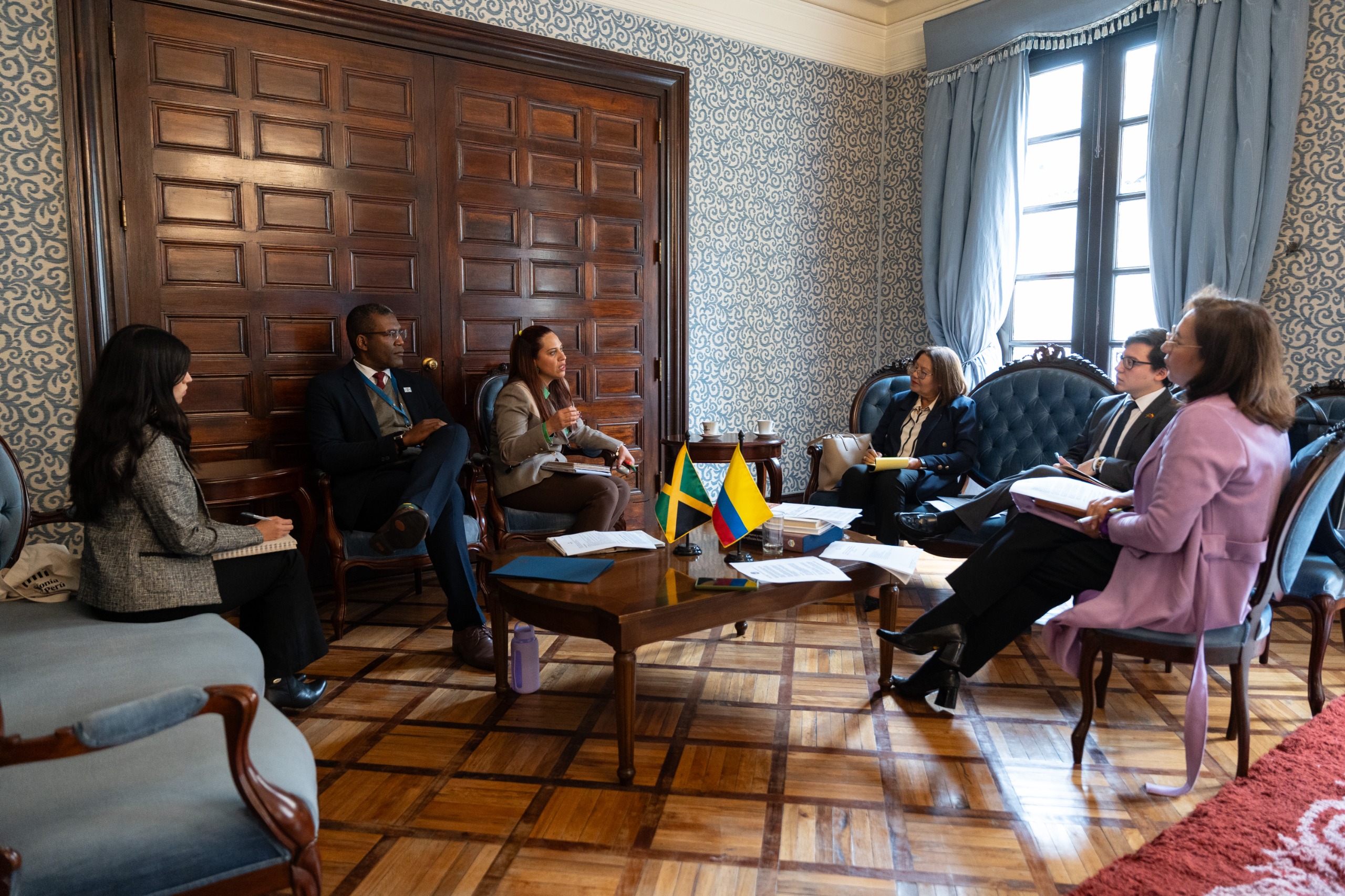 Directora para el Desarrollo y la Integración Fronteriza realiza seguimiento a los compromisos de la IX Comisión de Vecindad e Integración Fronteriza Colombia-Jamaica