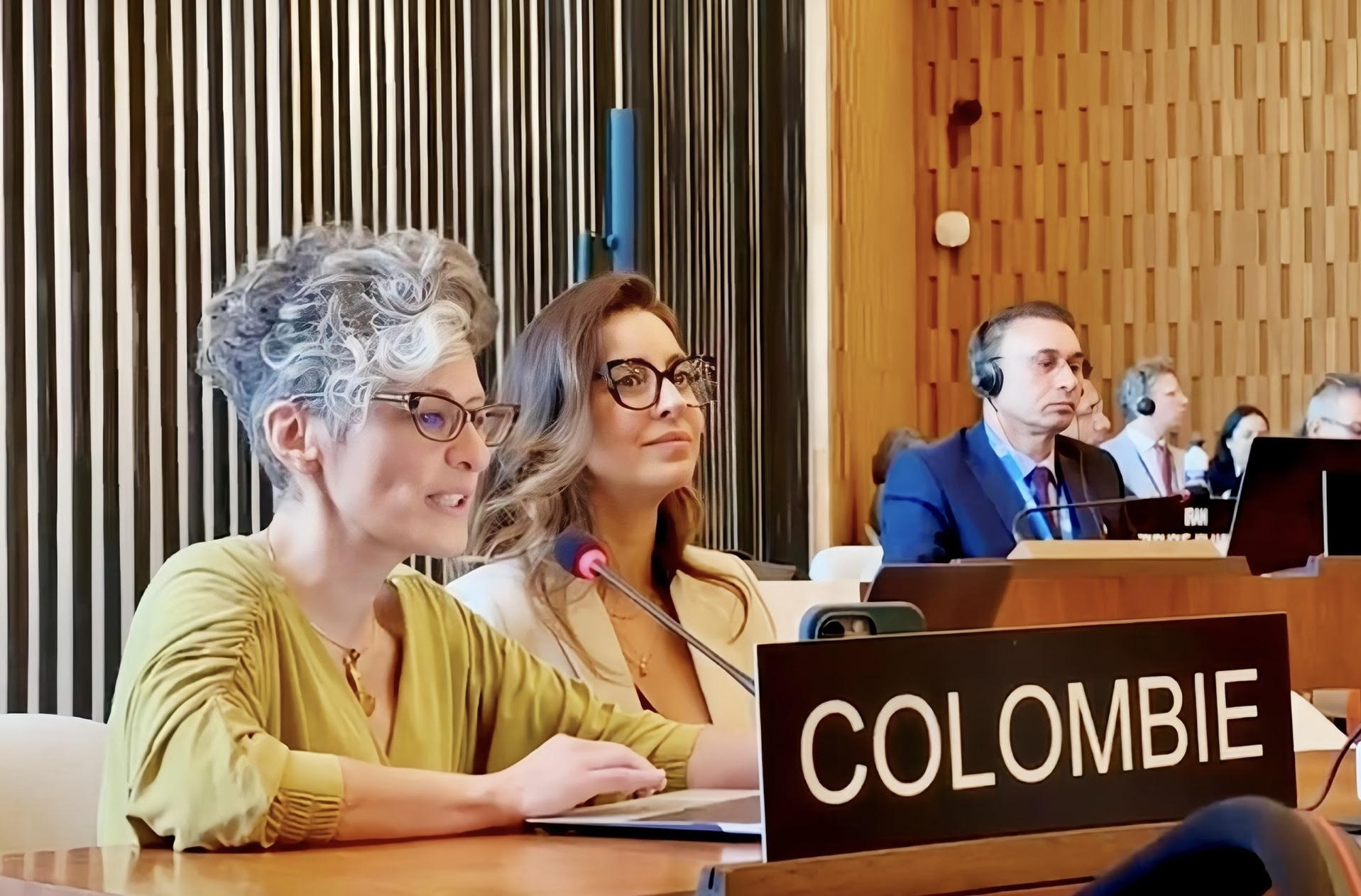 Colombia es elegida miembro del Comité Subsidiario de la Reunión de los Estados parte de la Convención de 1970 de la Unesco