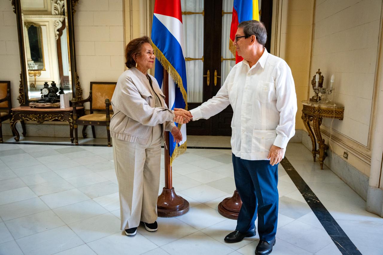 Canciller (e) Rosa Yolanda Villavicencio Mapy adelanta agenda diplomática de alto nivel