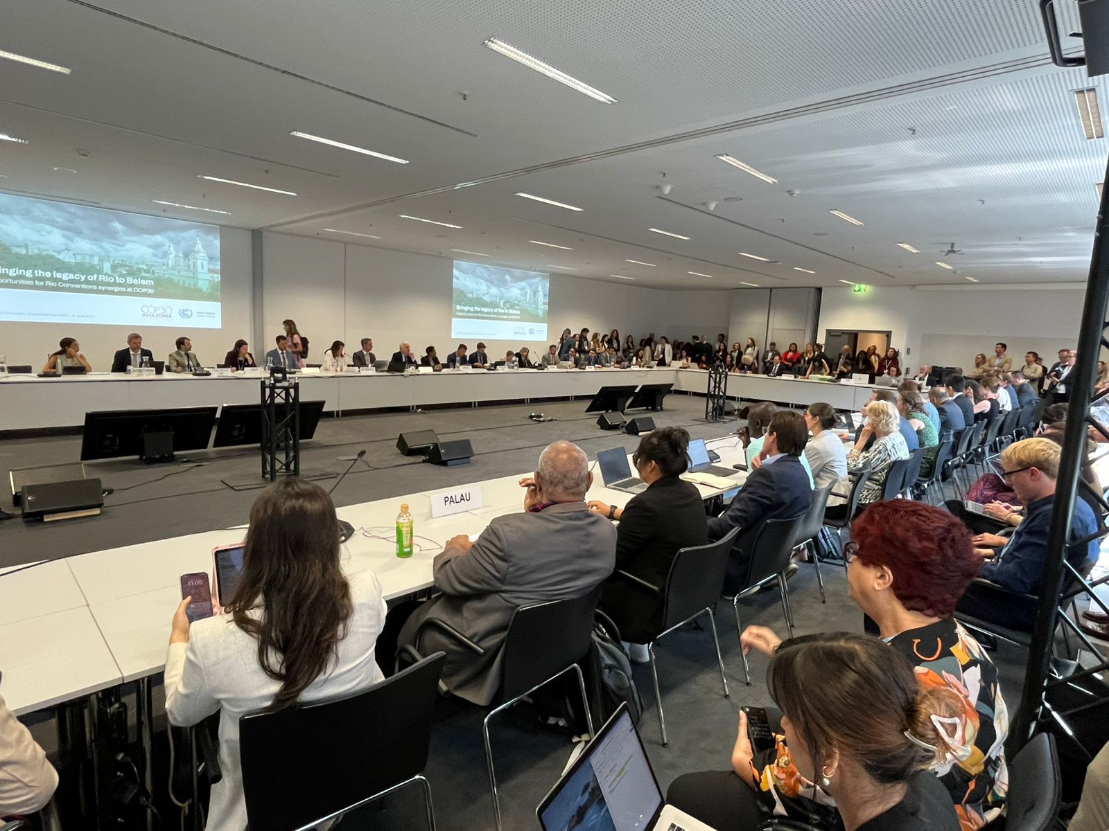 Colombia impulsa acción conjunta por el clima y la biodiversidad desde la Presidencia de la COP16