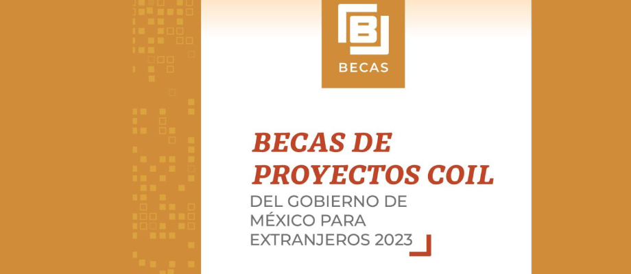 Realice una estancia corta en México con las becas de proyectos de colaboración internacional en línea (COIL) del Gobierno de mexicano