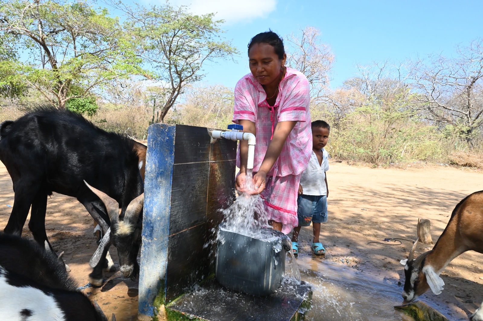 Comunidad wayuu se beneficia de proyecto de bombeo fotovoltaico liderado por la Cancillería y Uniguajira