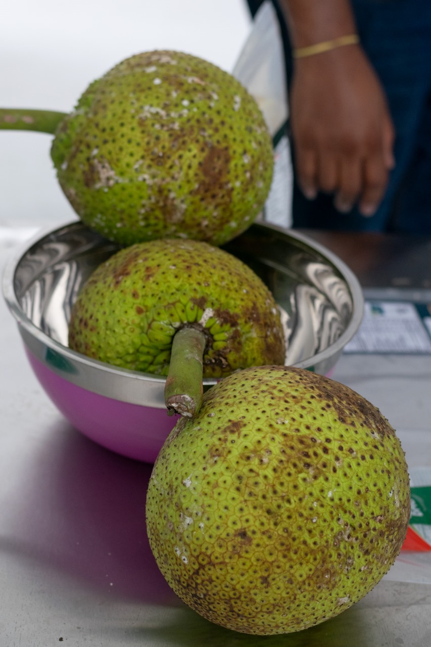  Cancillería entregó planta de transformación de frutas y verduras en el Archipiélago de San Andrés