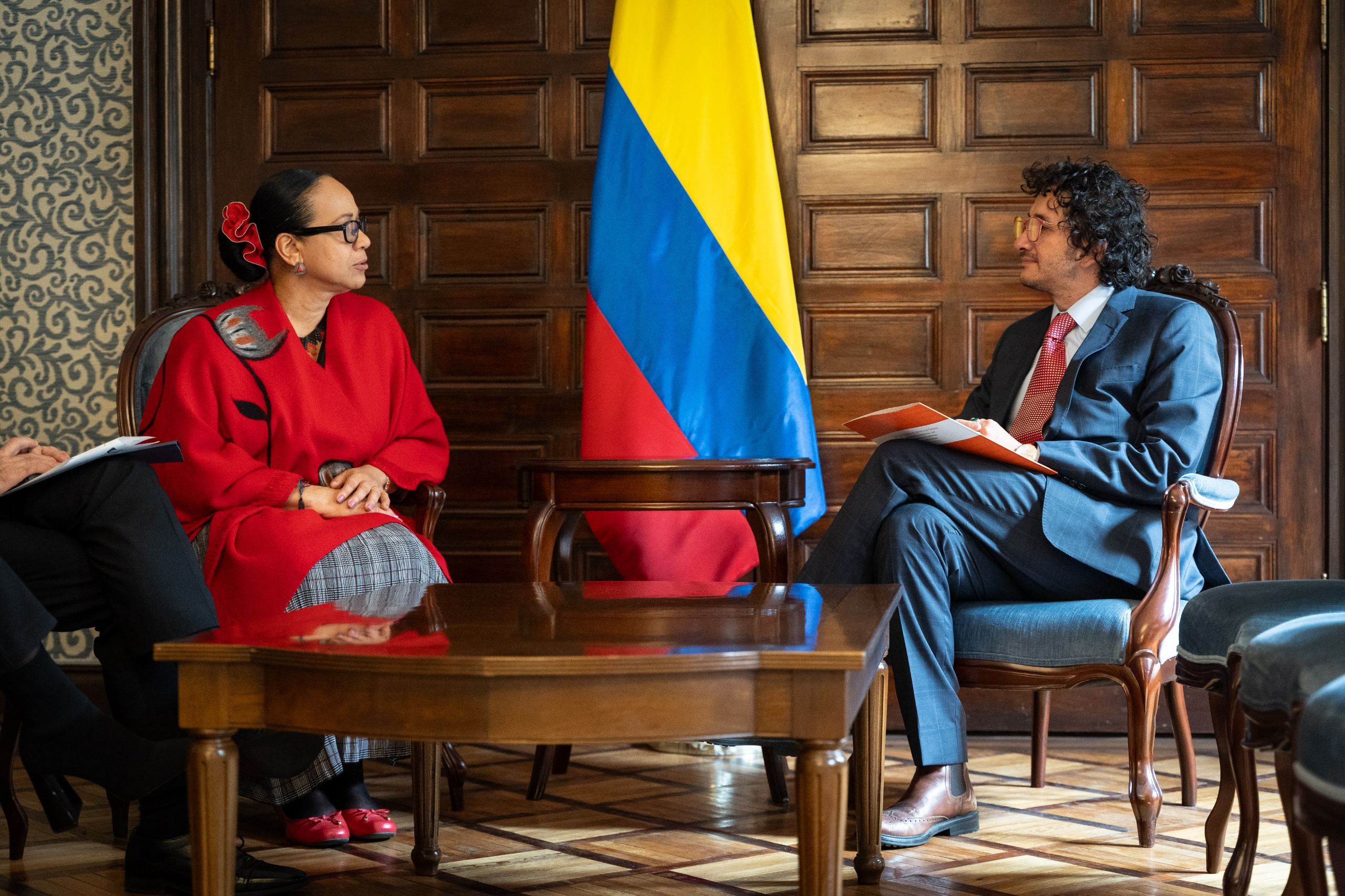 Viceministra de Asuntos Multilaterales, Elizabeth Taylor Jay, se reunió con el nuevo Jefe del Programa de Acción Integral contra Minas Antipersonal de la Organización de Estados Americanos (OEA), Mauricio Silva