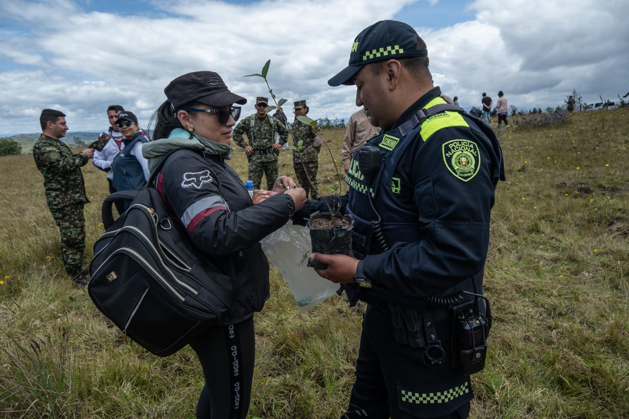 Cancillería lidera siembra de más de 800 árboles en Boyacá como parte del Proyecto Corredor Ecológico 
