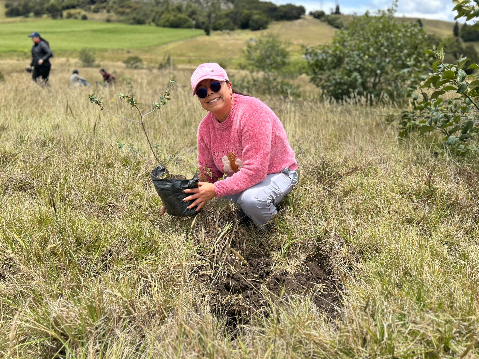 Cancillería lidera siembra de más de 800 árboles en Boyacá como parte del Proyecto Corredor Ecológico 