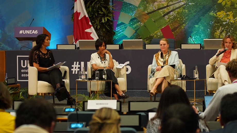 Participación estratégica de Colombia en el Sexto Período de Sesiones de la Asamblea de las Naciones Unidas sobre el Medio Ambiente