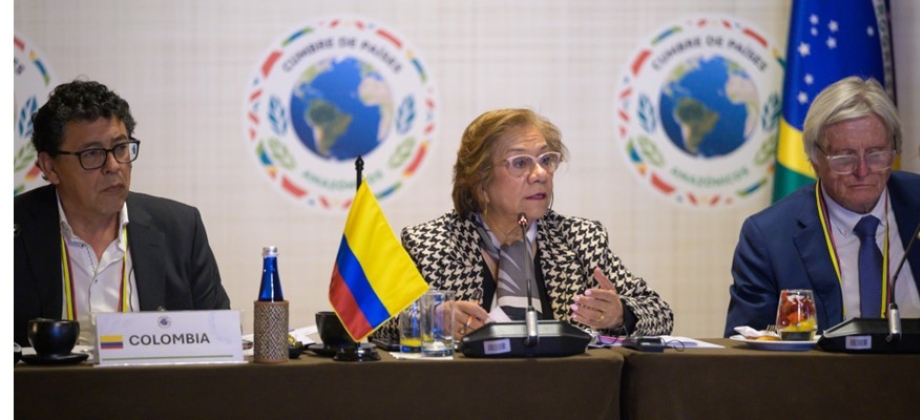 Colombia reafirma su compromiso con la Amazonía en reunión de Ministros de Relaciones Exteriores de la OTCA