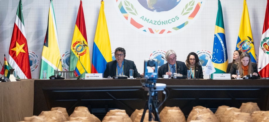 Colombia preside Reunión Extraordinaria del Consejo de Cooperación Amazónica