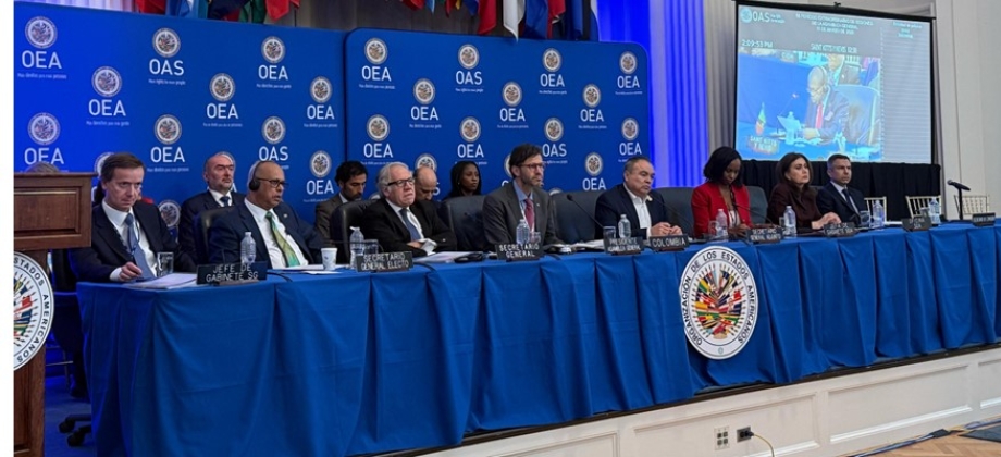 Viceministro Mauricio Jaramillo llamó al fortalecimiento del Sistema Interamericano durante la 56° Asamblea General Extraordinaria de la OEA