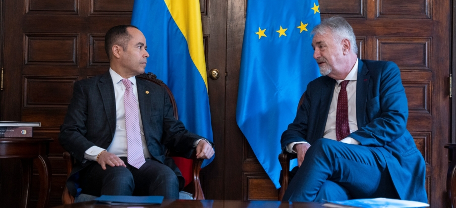 El Viceministro de Relaciones Exteriores (E) Daniel Ávila Camacho se reunió con el Enviado Especial de la Unión Europea para la Paz en Colombia