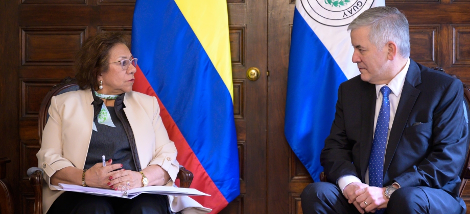 Nuevo Embajador de Paraguay en Colombia, Juan Alberto Baiardi Quesnel, presenta copias de estilo de sus cartas credenciales ante la Canciller (e) Rosa Yolanda Villavicencio Mapy