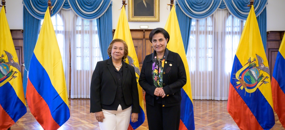 Canciller (e) Rosa Yolanda Villavicencio Mapy y su homóloga de Ecuador, Gabriela Sommerfeld, dialogan sobre asuntos estratégicos de interés común