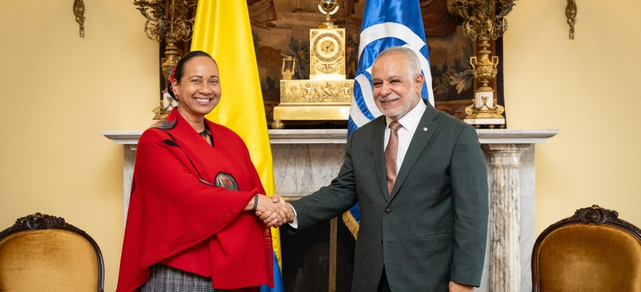 Unidos por la vida: hacia un gran caribe sostenible: enfoque de Colombia durante su presidencia de la Asociación de los Estados del Caribe