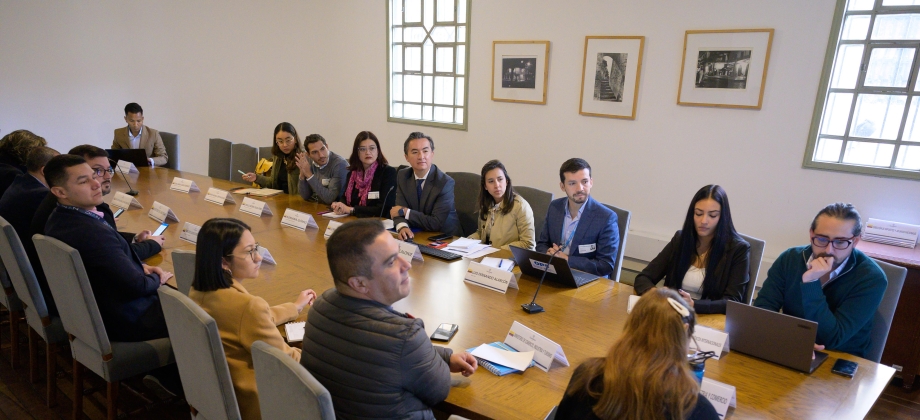 Se realizó el 28° Encuentro Interinstitucional para la Implementación del Convenio Marco de la OMS para el Control del Tabaco