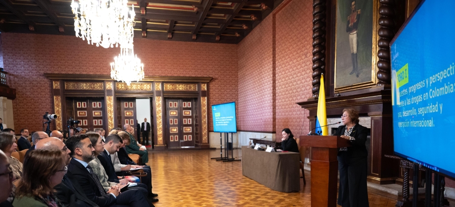 Colombia presenta avances y perspectivas en la política de drogas: paz, desarrollo, seguridad y cooperación internacional