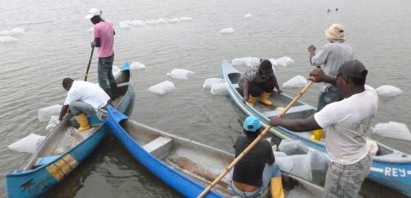 Familias de Tumaco pescando gracias al Plan Fronteras para la Prosperidad