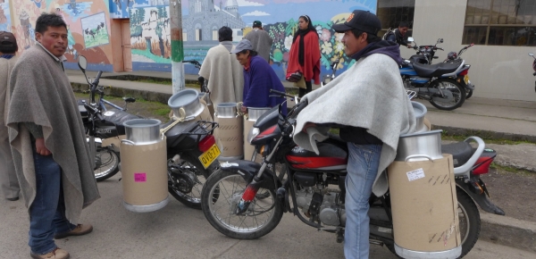 Para el fortalecimiento de la cadena láctea, el Plan Fronteras para la Prosperidad entregó cantinas para leche en municipios fronterizos de Nariño 