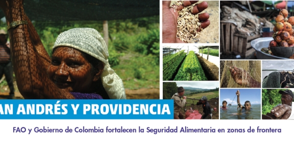 FAO y Gobierno de Colombia fortalecen la Seguridad Alimentaria en zonas de frontera